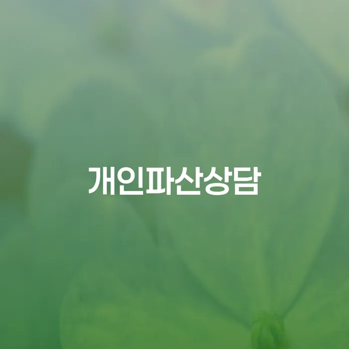 파산상담 개인파산 믿고 진행 할 수 있는