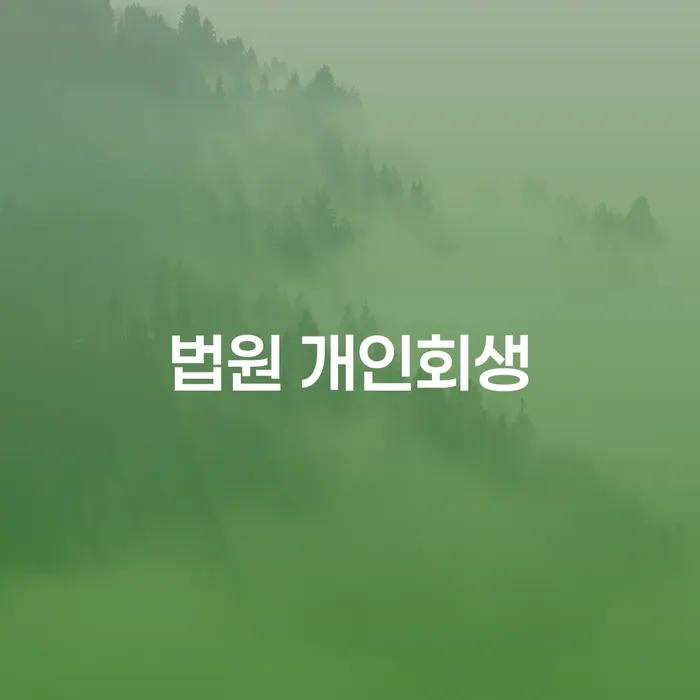 법원 개인회생 빚독촉 신속한상담을