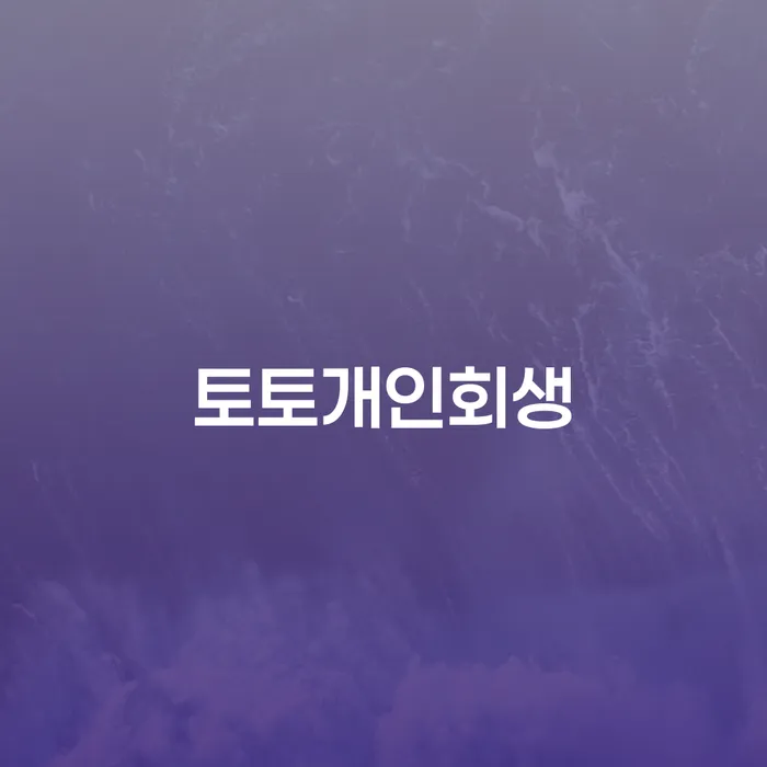 채무조정제도 채무 효과적인 해결방법 최선의 선택