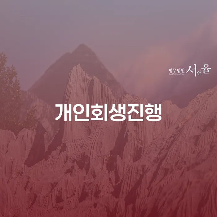 담양군 면책확인의소 개인회생으로 해결방법 관련정보