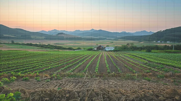 개인회생변호사