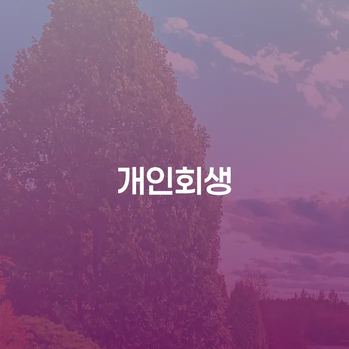 전라북도 3번째개인회생 대출 받은 돈채무조정 확인 하고 진행