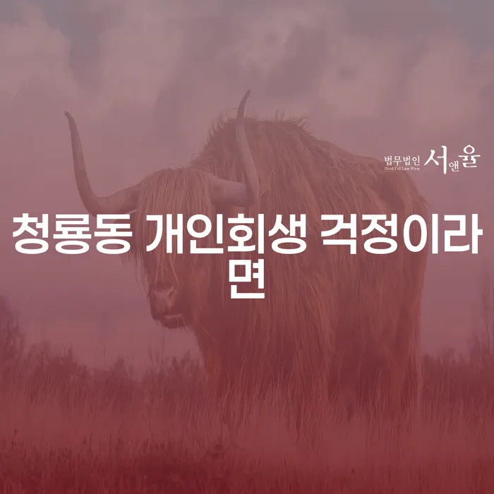 청룡동 개인회생 걱정이라면
