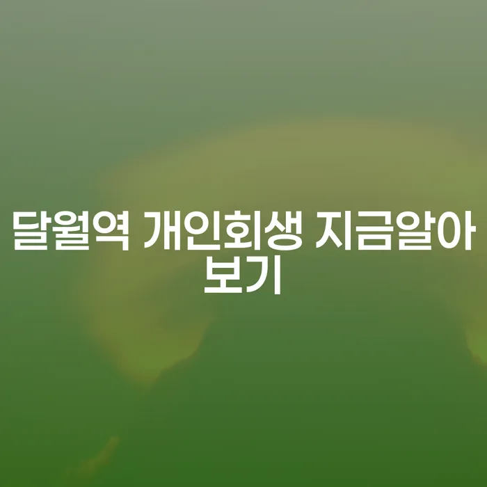달월역 개인회생 지금알아보기