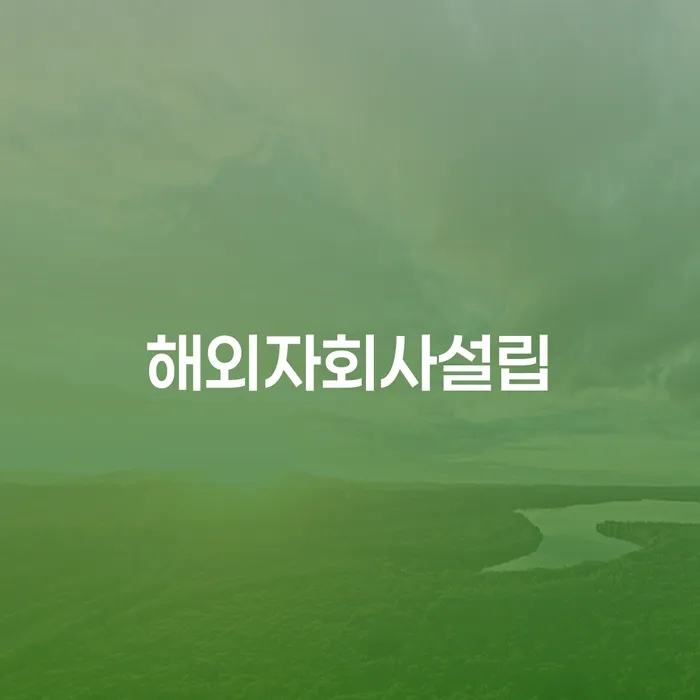 해외자회사설립, 왜 필수인가요? 그리고 리스크는 어떻게 관리하나요?