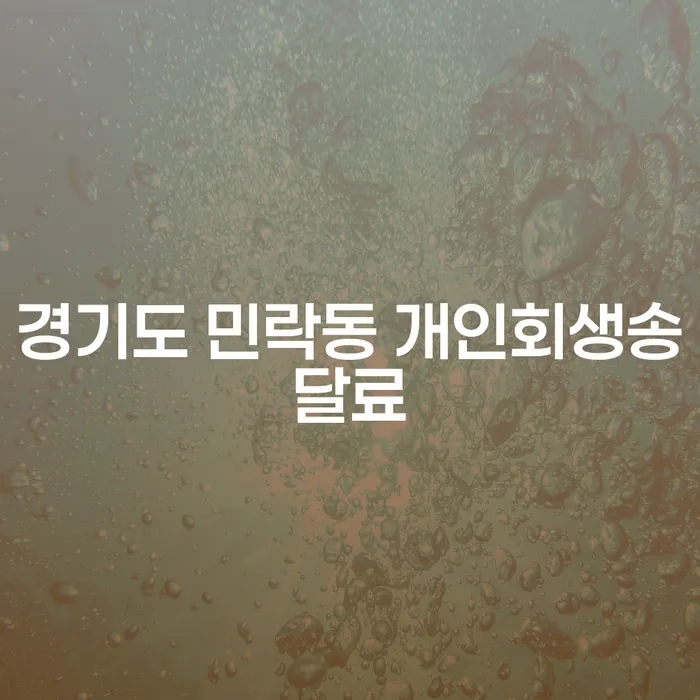 경기도 민락동 개인회생송달료와 대출 8억원 이상 개인파산, 어떻게 준비해야 할까요?