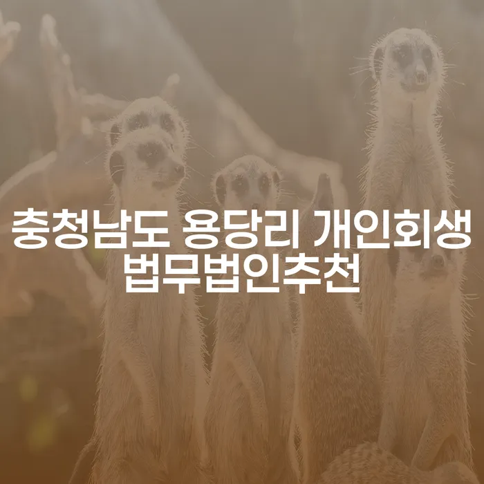 개인회생과 급여통장압류 문제, 충청남도 용당리에서 해결할 수 있는 법무법인은?