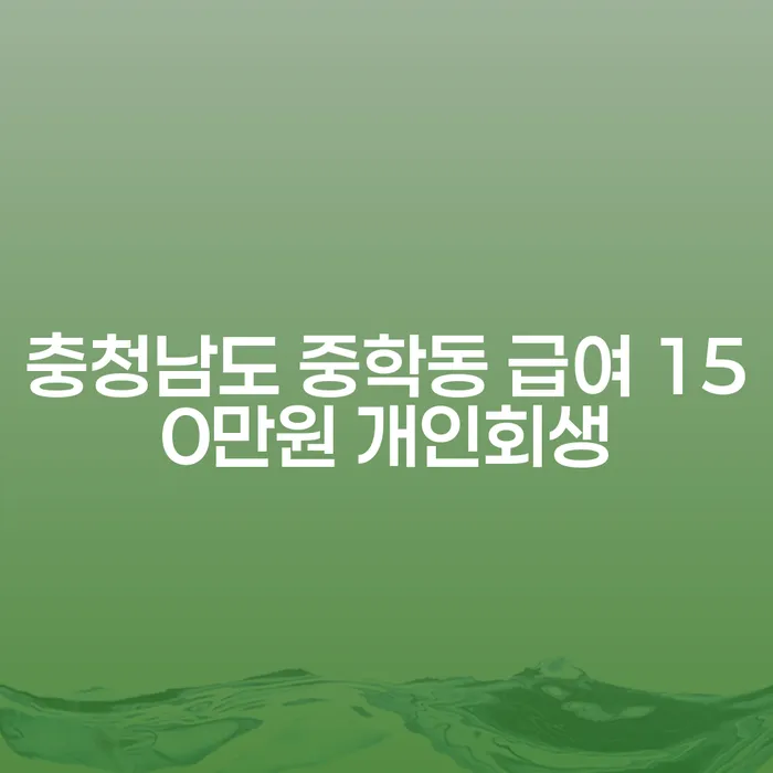 충청남도 중학동에서 급여 150만원으로 개인회생을 시작하는 방법은 무엇인가요?