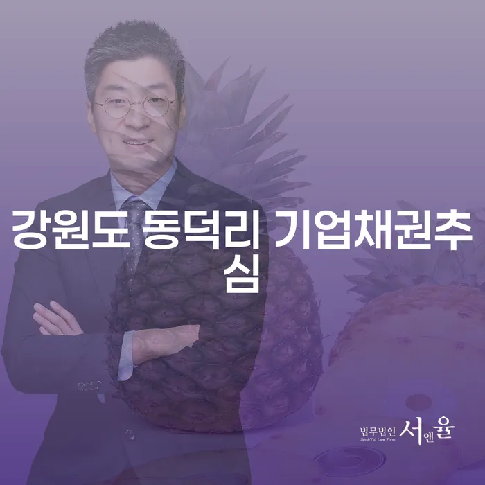 채무의 늪에서 벗어나는 방법, 강원도 동덕리 기업채권추심과 사채변호사 활용하기