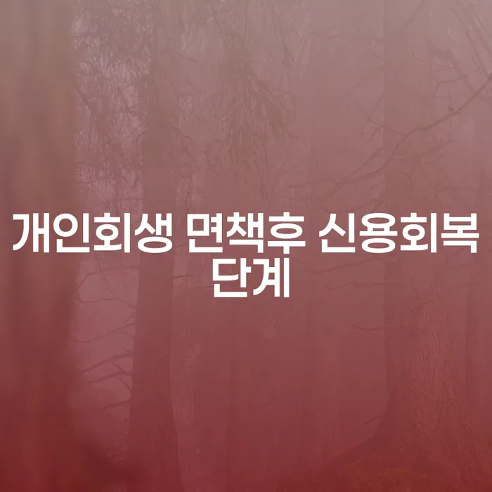 개인회생 면책후 신용회복 단계, 어떻게 진행해야 할까요?