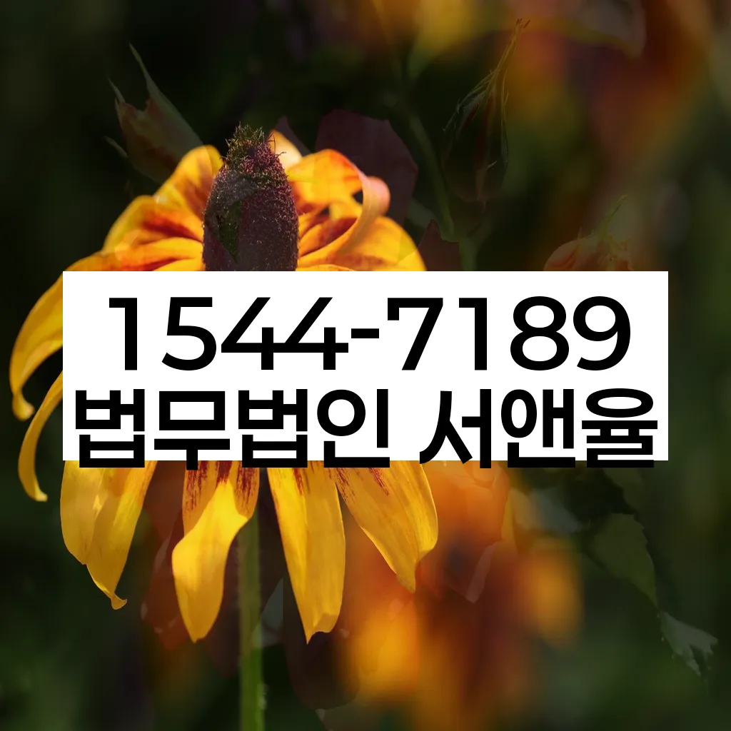 대전 개인회생 변호사 이미지